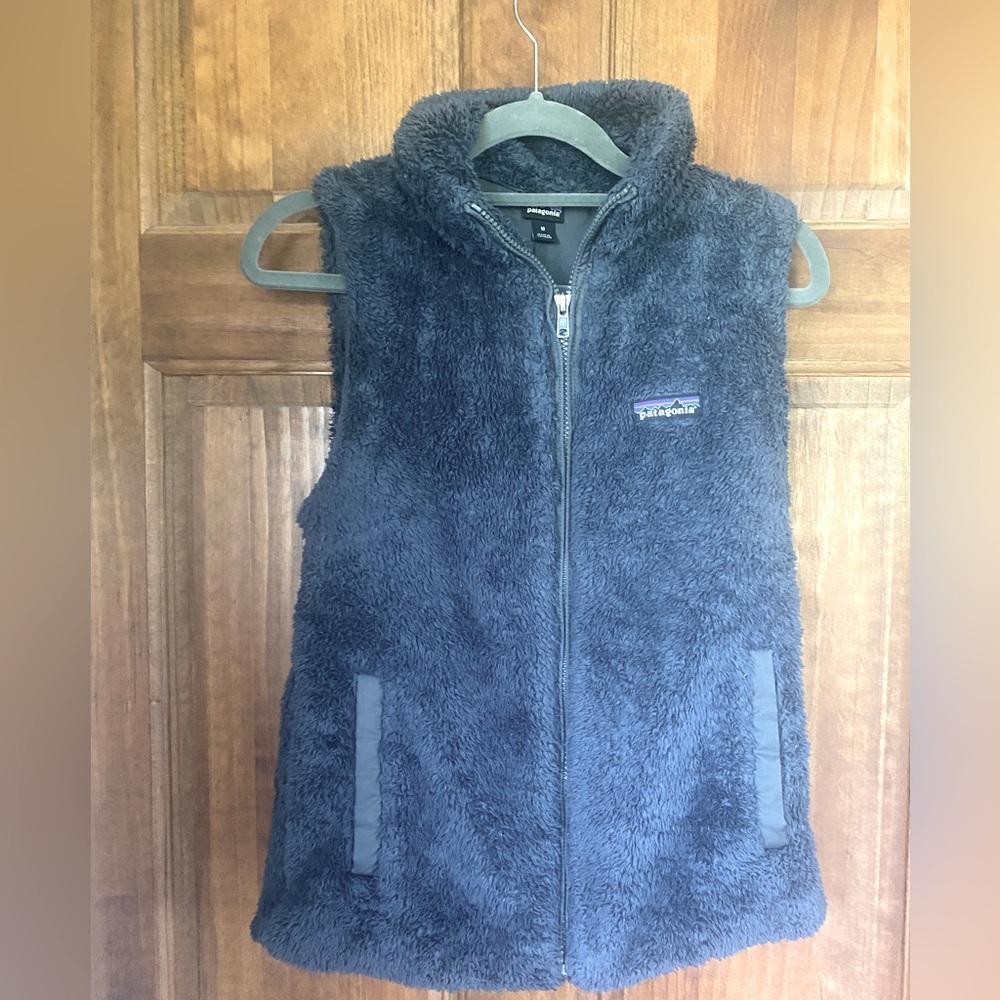 Patagonia vest
